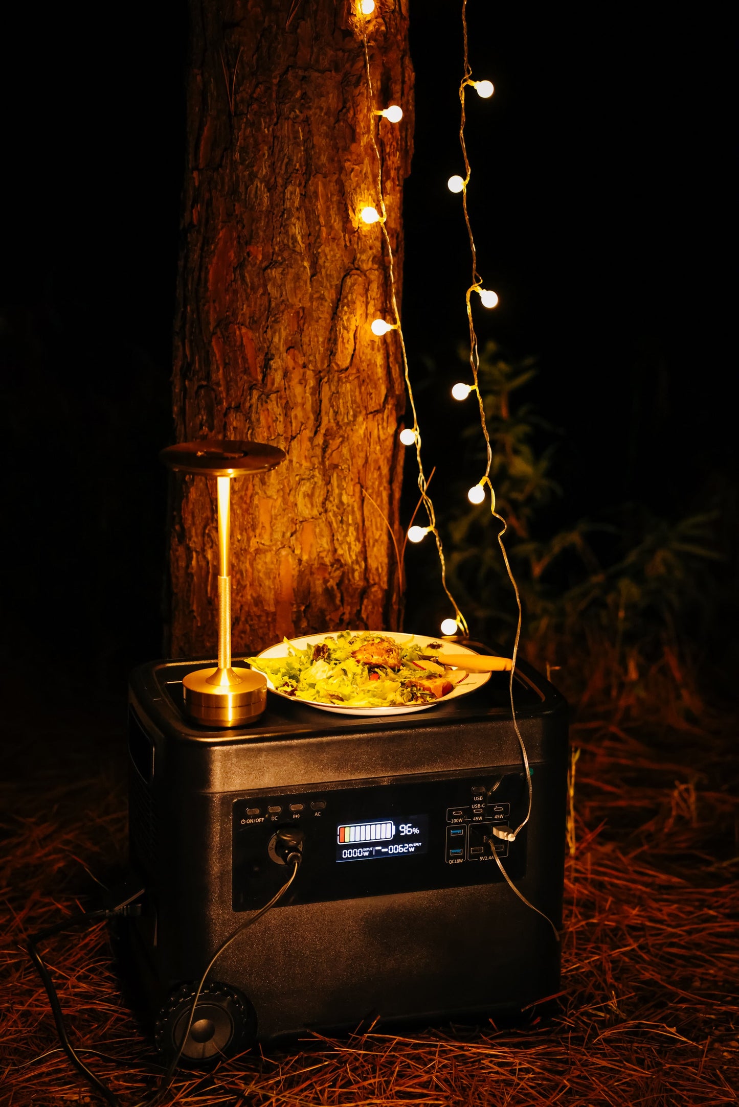 Portable Power Station 2560Wh LiFePO4 Battery for Camping, Travelling, Home Backup, RV, Off-grid (Solar Panel Optional)